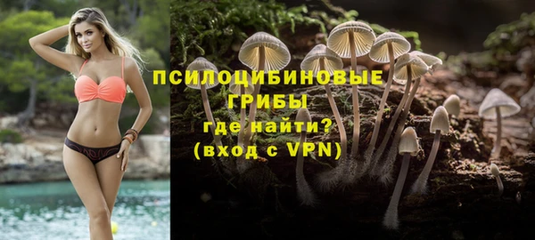 МДПВ Абаза